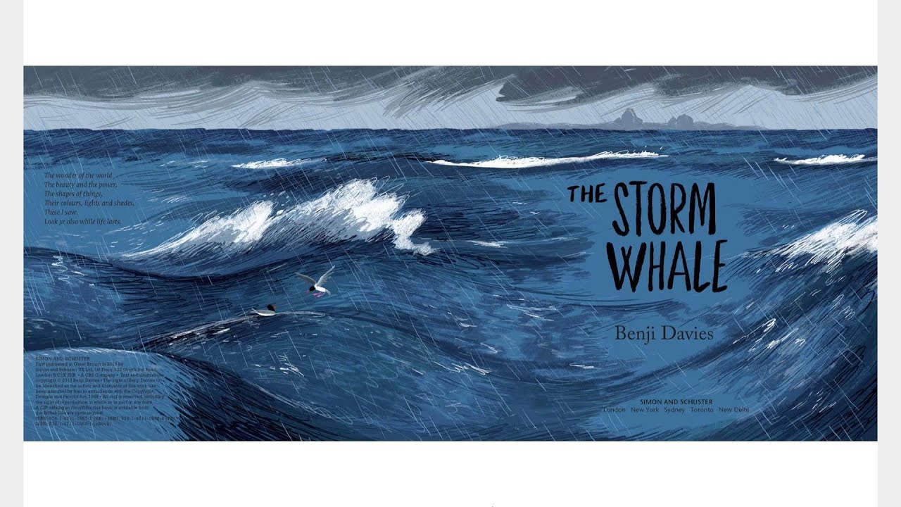 The Storm Whale
