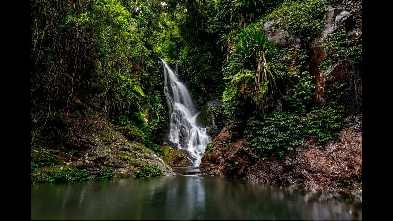 Lamington National Park Ancient Landscapes