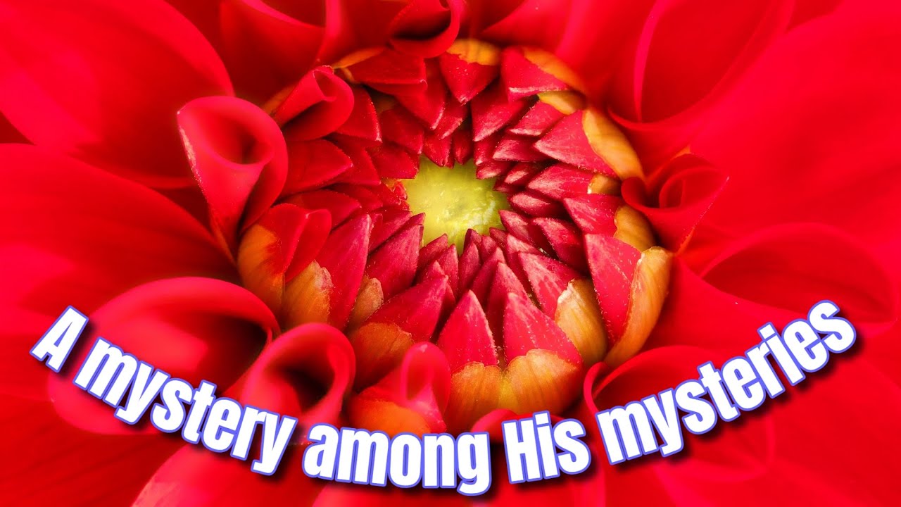 Every Created Thing -- a Meditation