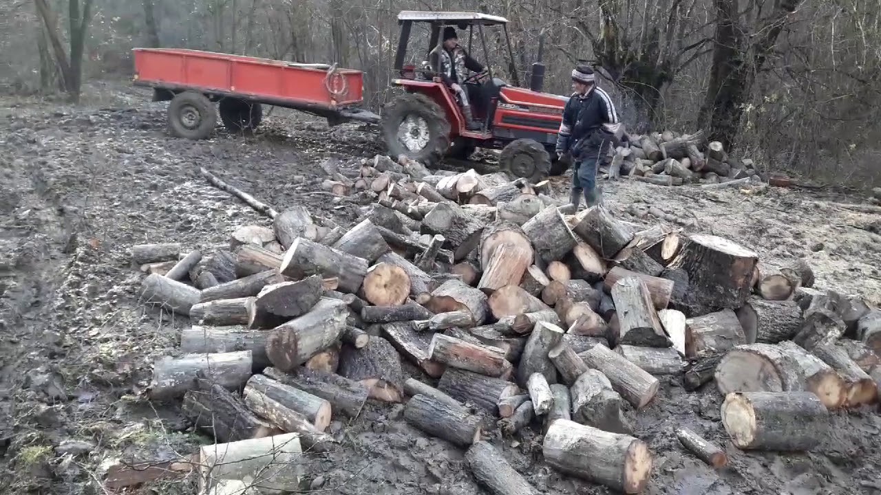 YANMAR FX20D...LA PĂDURE!