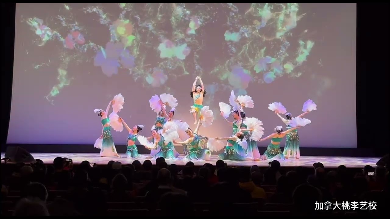 2026 卡城春晚 傣族舞 《森之灵》 桃李艺校 Chinese dance Chinese new year gala 
