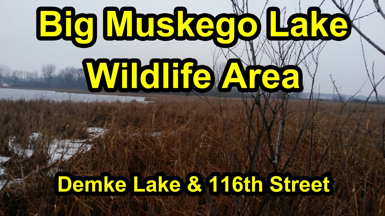 Big Muskego Lake Wildlife Area - Demke Lake & 116th Street Location