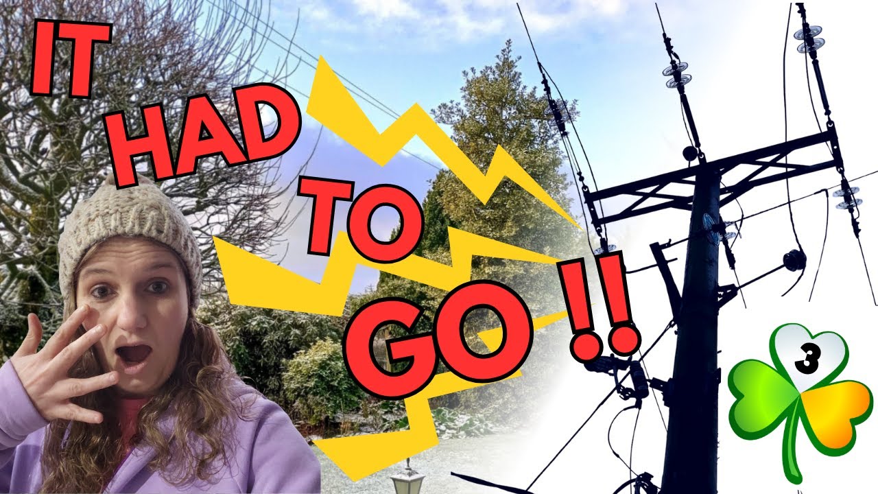  Storm Damage | Moving to Ireland 