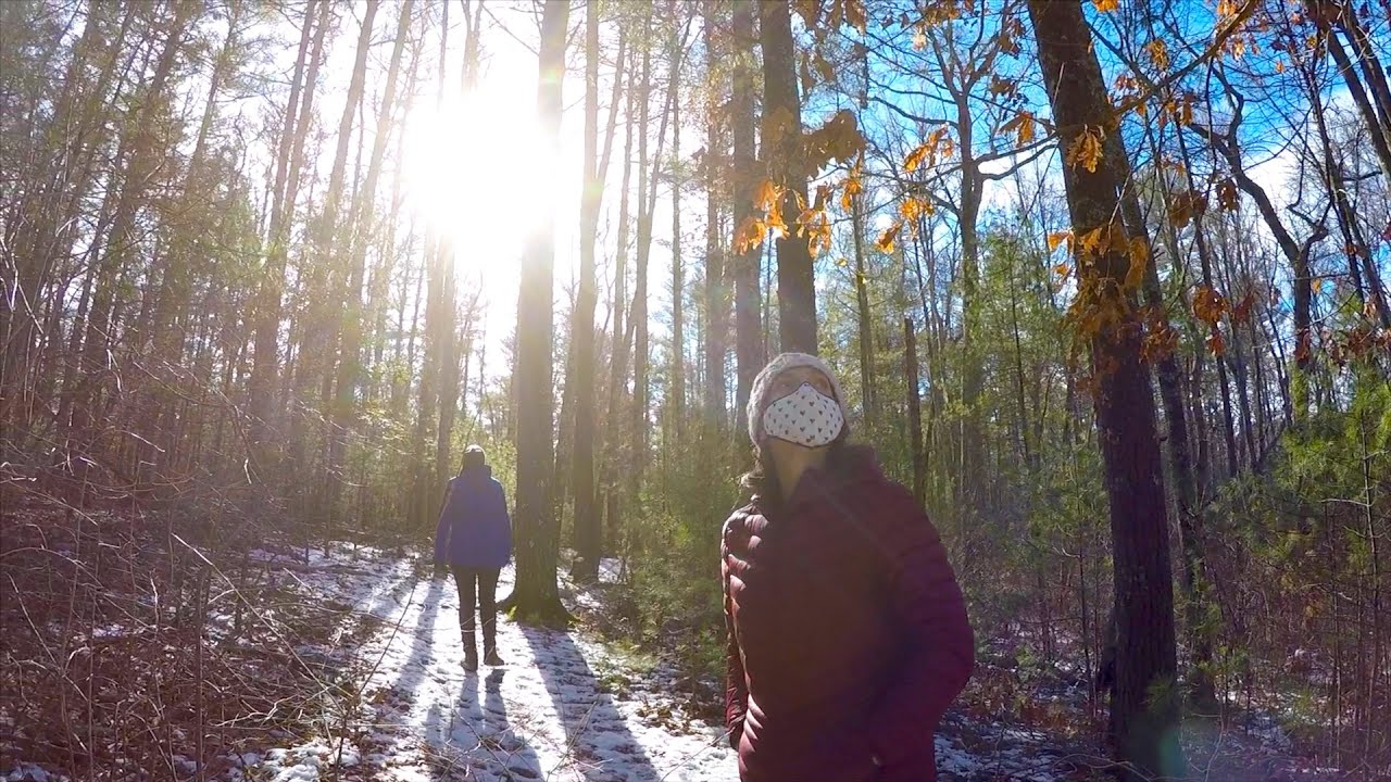 Mindfulness Walk Bay Adventure