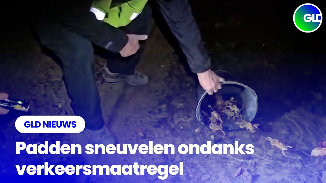 GLD Nieuws 13 maart 2026