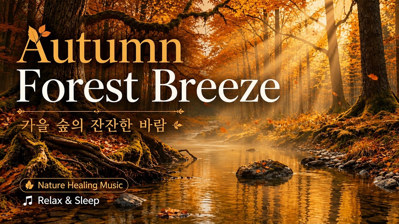 Autumn Forest Ambience — Bright Nature Sounds 🍂 | Four Seasons Light