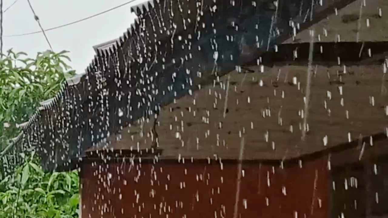 Сильный дождь на крыше для сна 🌧️ Глубокий сон всю ночь | Естественный белый шум