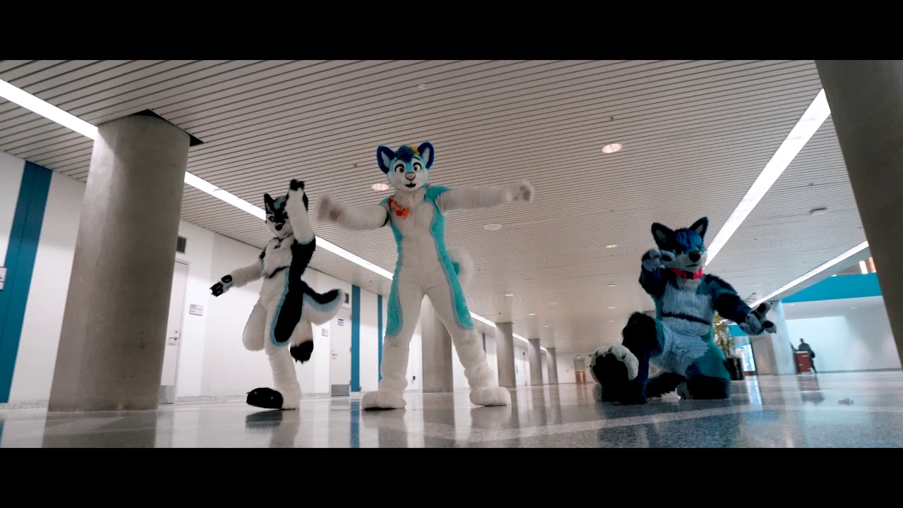 Furocity At FC19