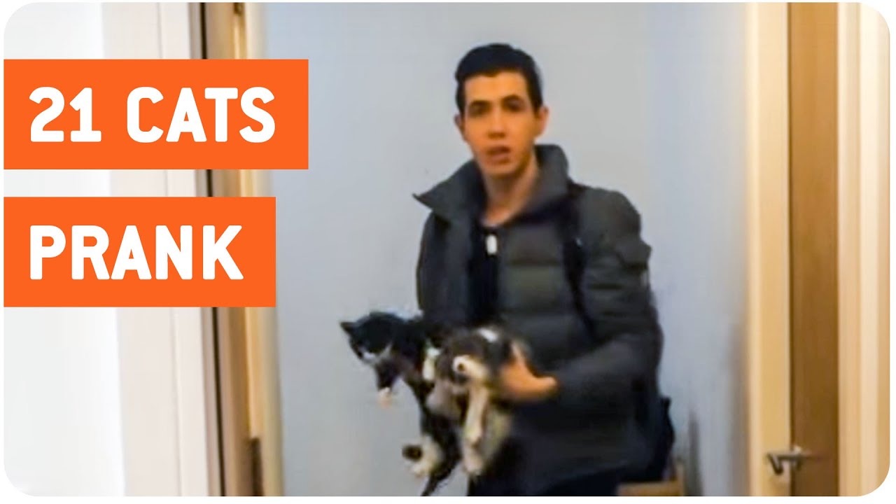 Girlfriend Pulls Prank on Boyfriend | Cat Confronts