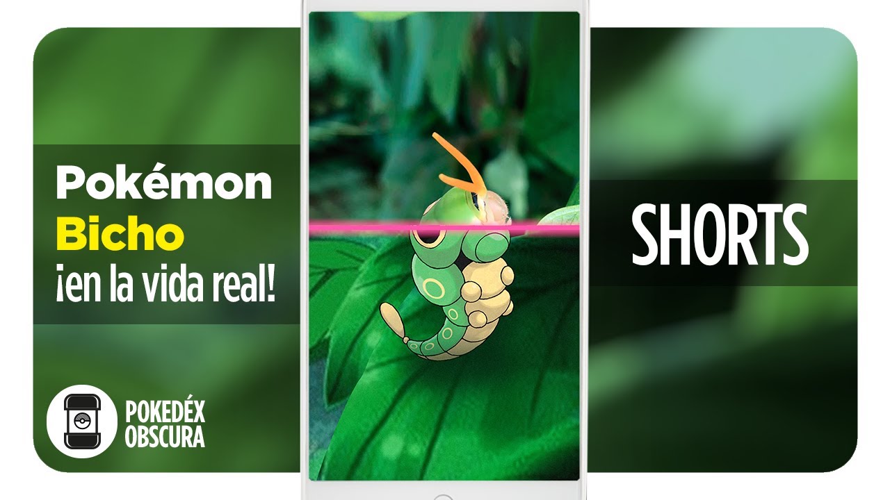 Pok&eacute;mon del tipo Bicho, &iexcl;en la vida real! 🐛 | Pok&eacute;dex Obscura #Shorts