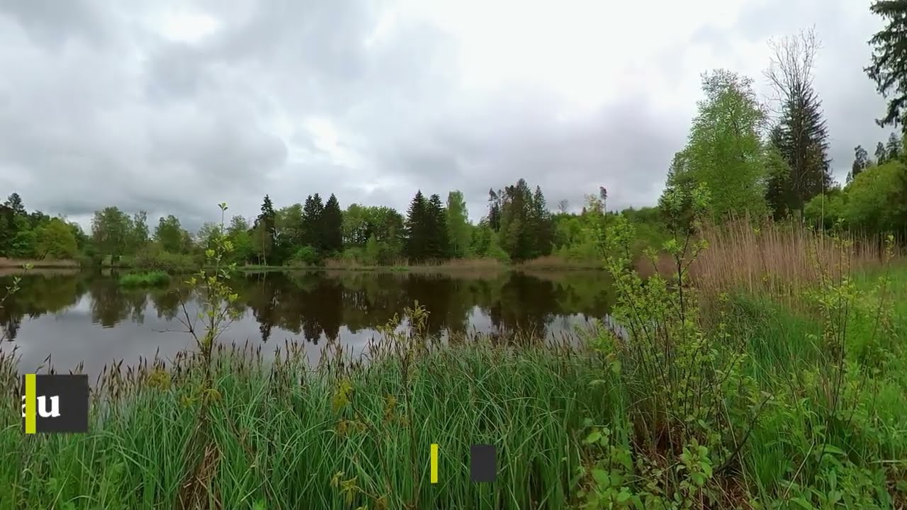 Wildweiher - Illnau Teil 1
