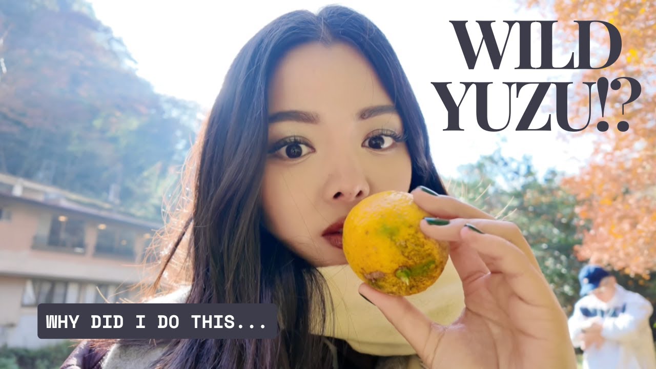 Japan vlog | Fukuoka, food finds, autumn | what surprised me