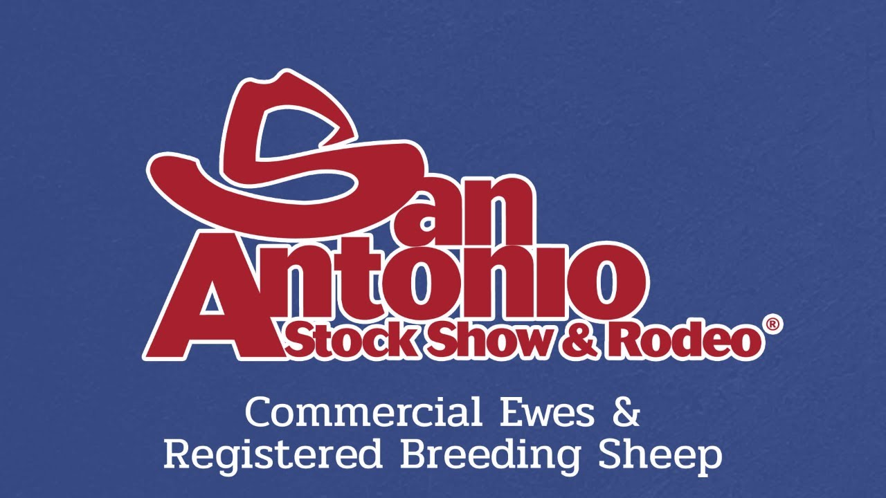 Commercial Ewes + Breeding Sheep - San Antonio Stock Show 2026
