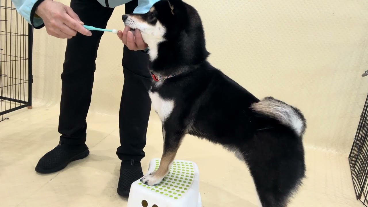 2026.01.18 フリー&トレーニングの様子