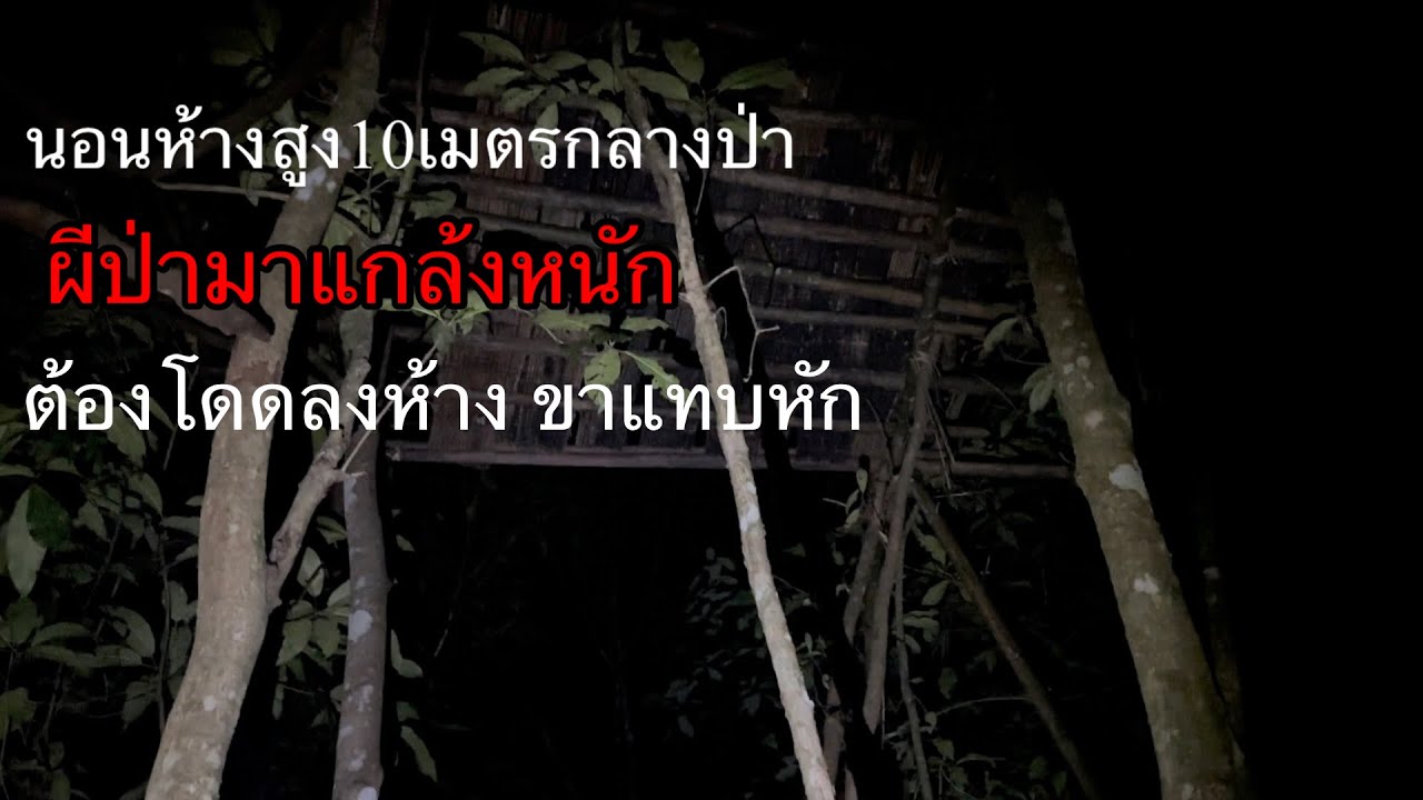 นอนห้างสูง10เมตรกลางป่า มีบางอย่างพยายามขึ้นห้าง”ต้องรีบโดดลง ขาแทบหัก