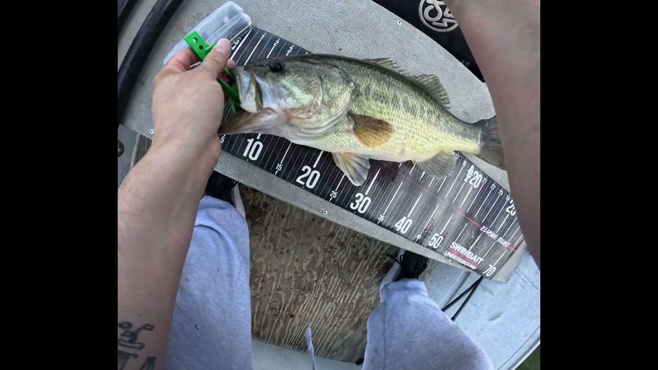 Рыбалка с использованием 2-унцовой воблера Deps 🎣