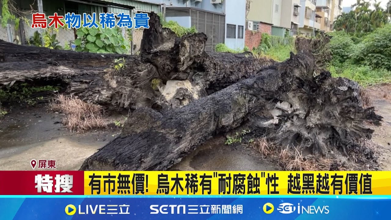 木材界的
