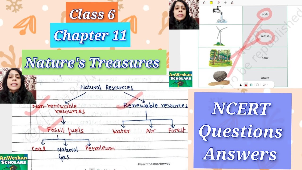 NCERT Curiosity Questions Answers Class 6 Chapter 11 Nature's Treasures CBSE 