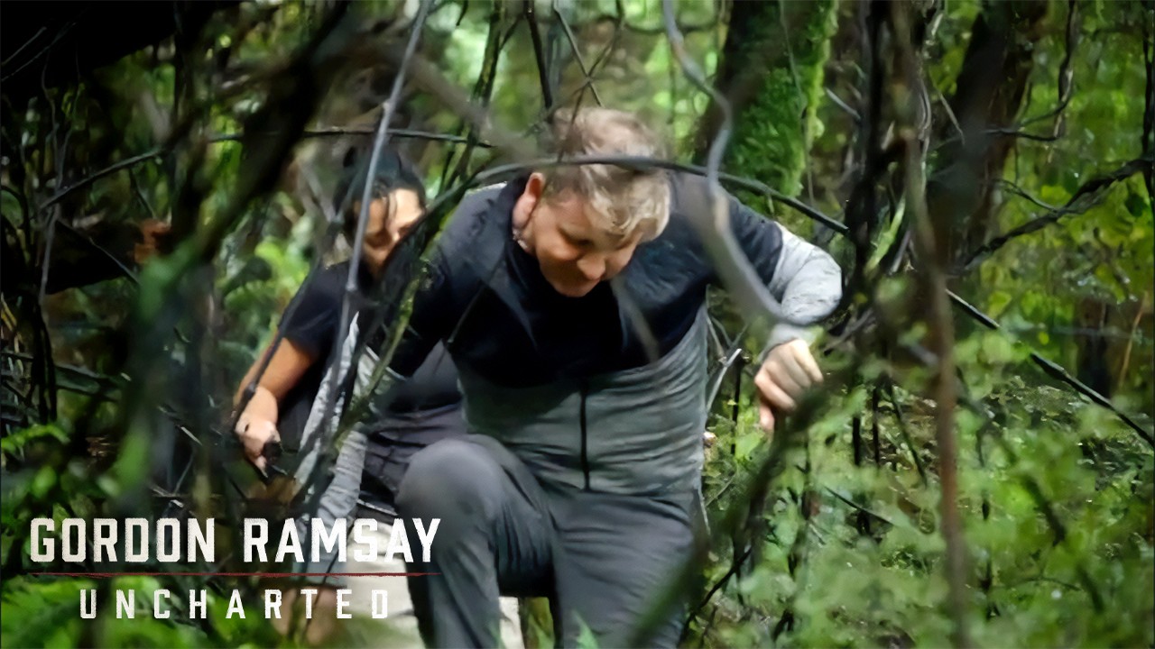 Wild Foraging: Exploring Stewart Island's Wilderness | Gordon Ramsay: Uncharted