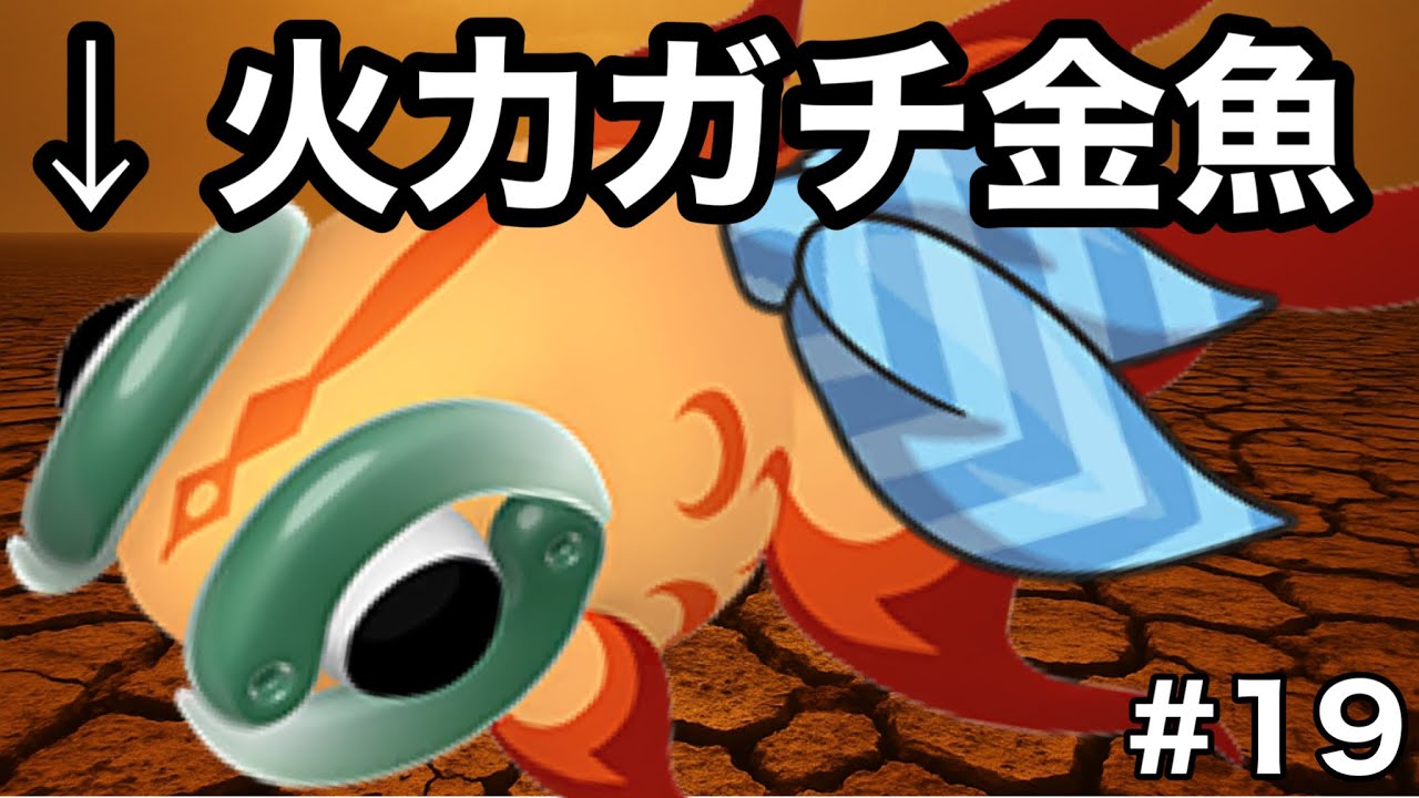 【1+1=3】神をも破壊する？夏の魚ちゃんですが？【ポケモンSV】