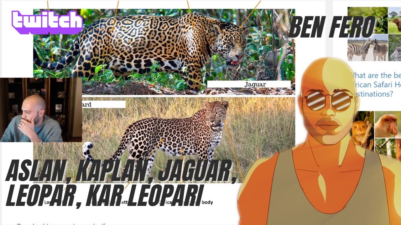 BEN FERO PANTER TÜRLERİNİ ANLATIYOR | (Aslan, Kaplan, Jaguar, Leopar, Kar Leoparı)