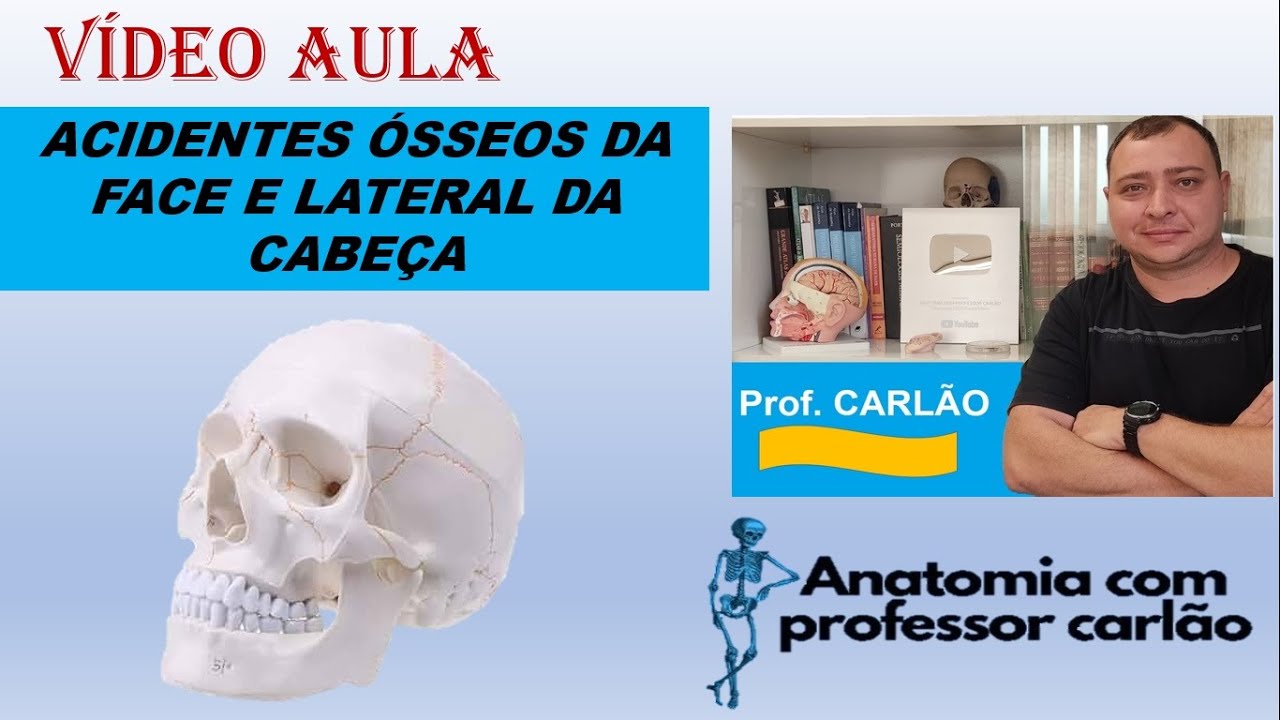 ACIDENTES ÓSSEOS DA FACE E LATERAL DA CABEÇA