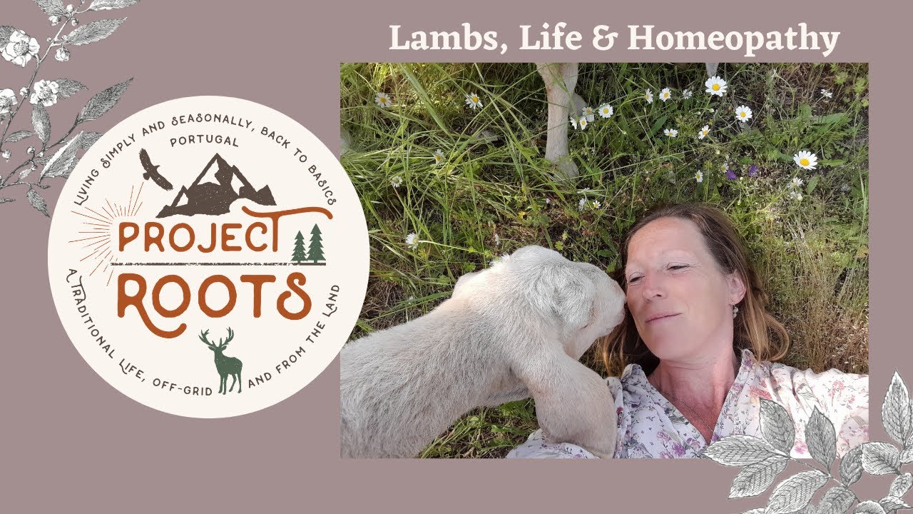 Lambs, Life & Homeopathy Update