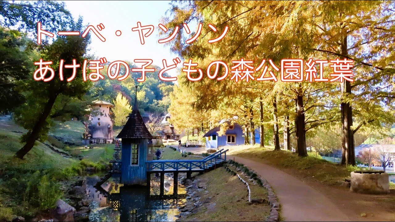 トーベ・ヤンソンあけぼの子どもの森公園の紅葉　2025年11月12日現在