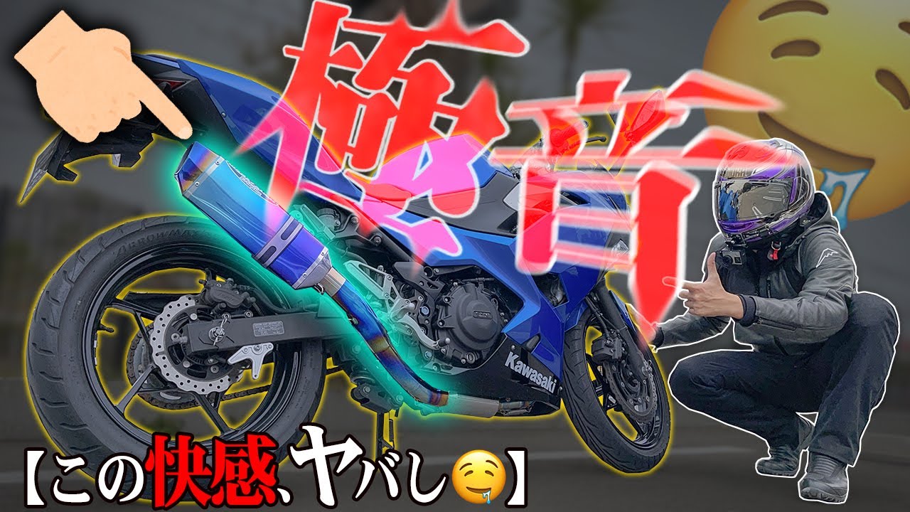 【とぶぞ？】250ccにフルエキ装着したら極音すぎて昇天するよ♡【Ninja250】