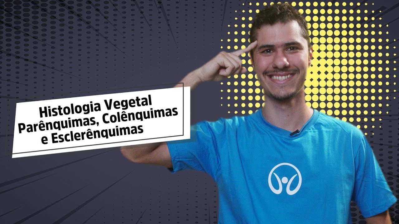 Parênquimas, Colênquimas e Esclerênquimas | Histologia Vegetal - Brasil Escola
