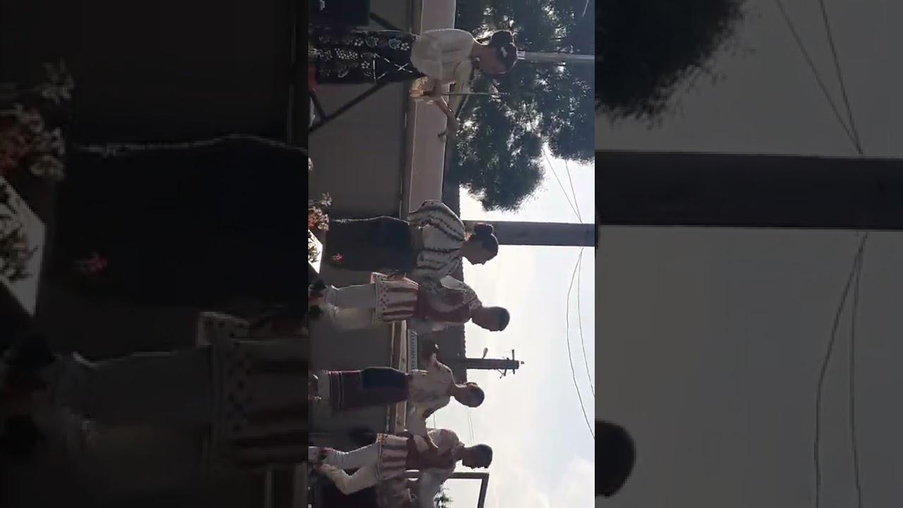 ansablul  doruri de c&acirc;mpie  Harsesti la stolnici.