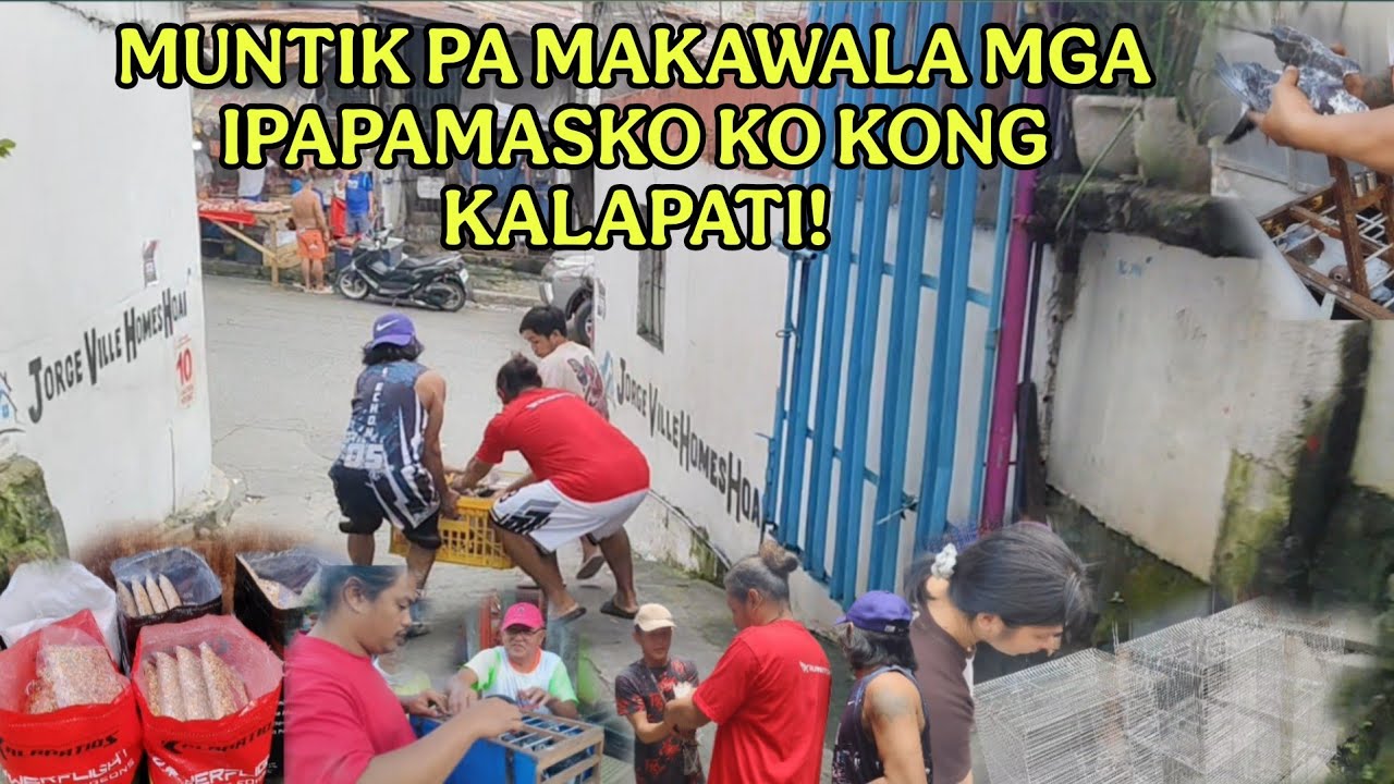 PINAKYAW KONG KALAPATI PARA SA PAMASKO SA MGA BATA MUNTIK MAKAWALA!