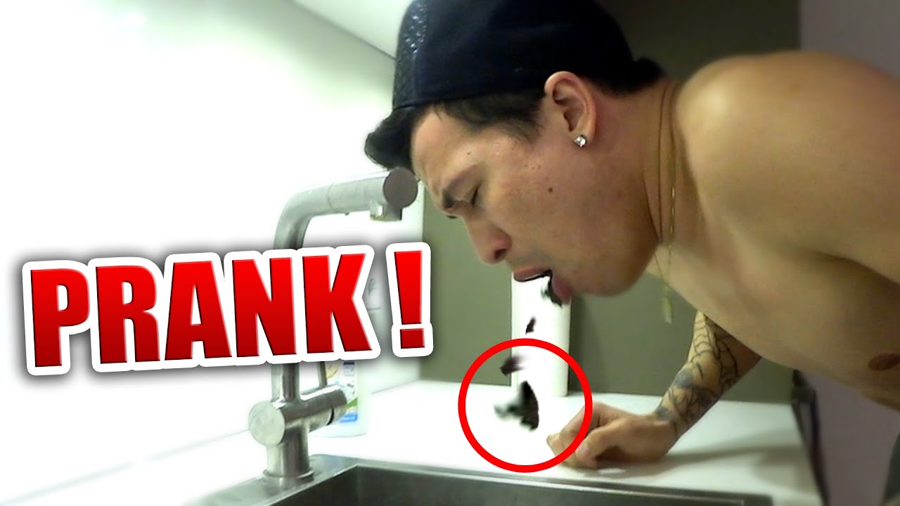 Der EKEL-OREO PRANK !
