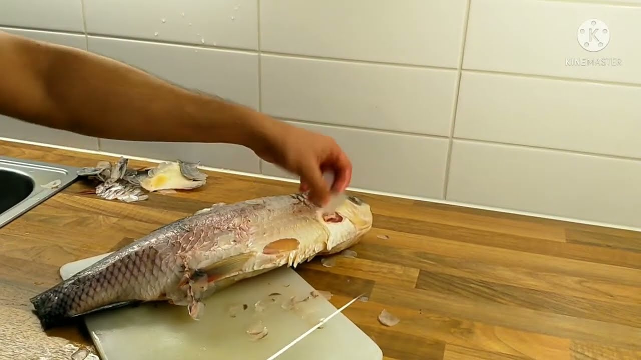 3 kg Rohu fish... Cutting, cleaning and preserving !