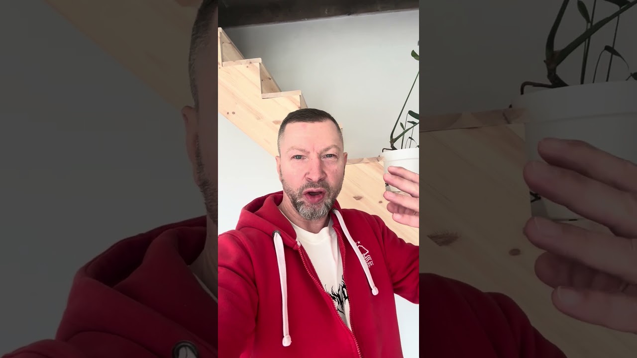 Gdybym wiedział że Dis jest taki niebezpieczny i wychował się na japońskich bajkach xd