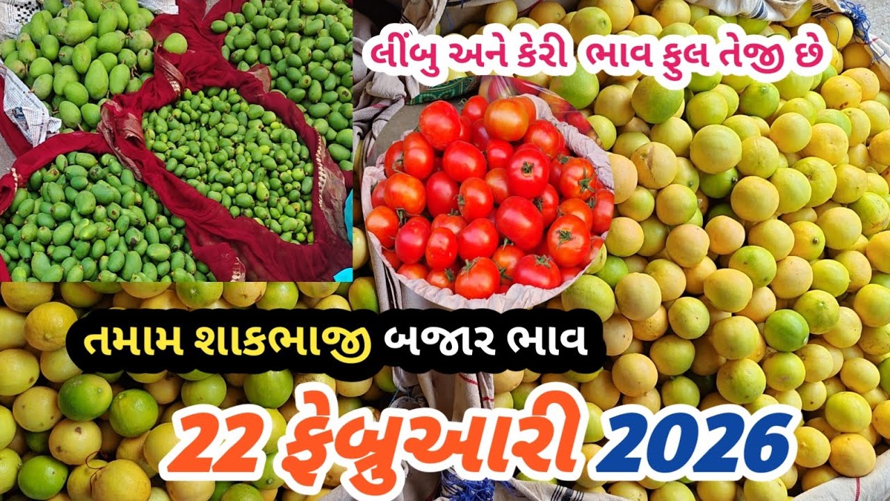22 February 2026 .કેરી બજાર ભાવ ફુલ તેજી છે | રીંગણ એન લીંબુ 🍋 ભાવ વધારો | તળાજા માર્કેટ યાર્ડ 