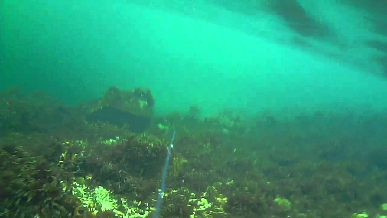 Water Wolf HD, Fishing for Sea Trout. Dirdal, Norway 27.12.2014