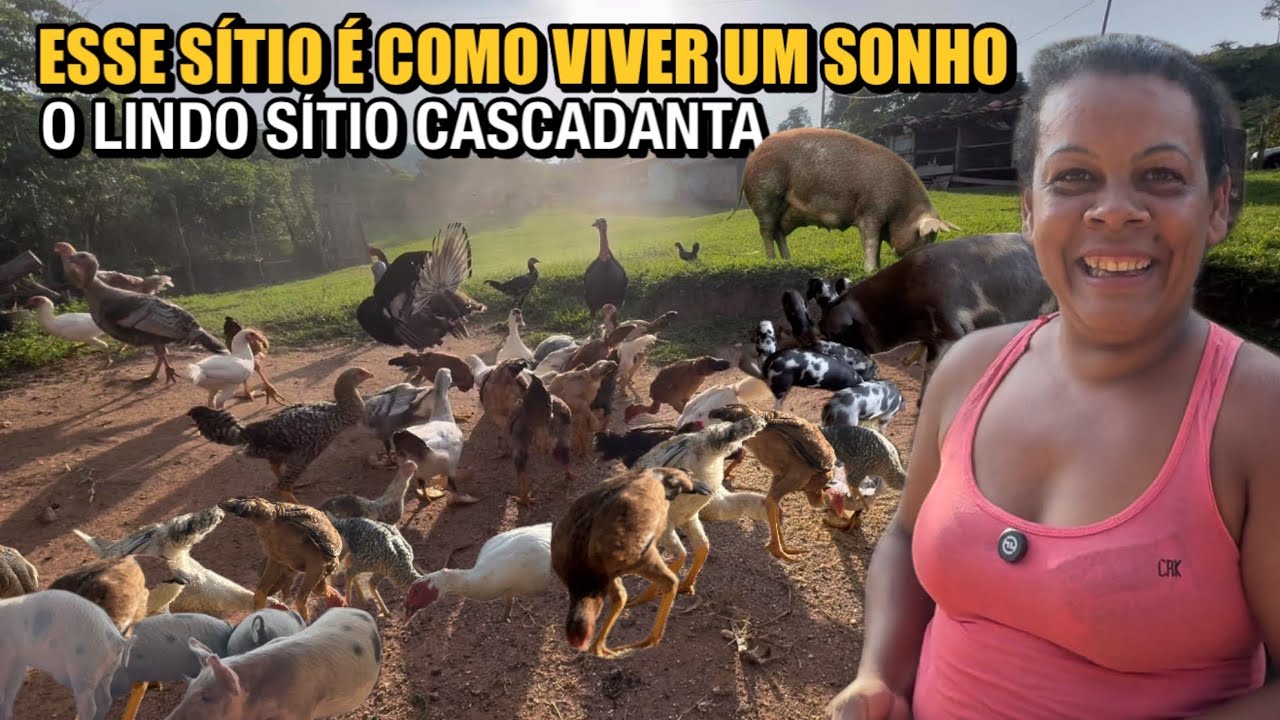 DONA LUCIMAR MOSTRA O INCRÍVEL SÍTIO CASCADANTA - ALPINOPOLIS MG