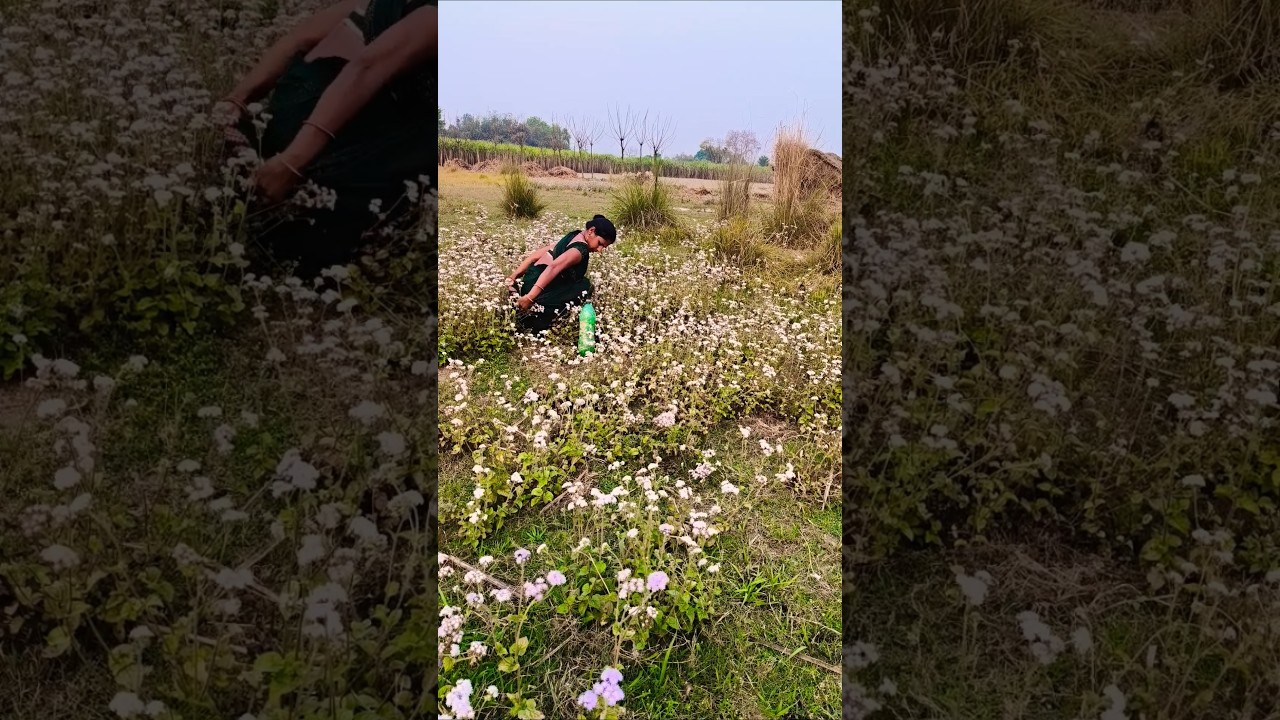 black video