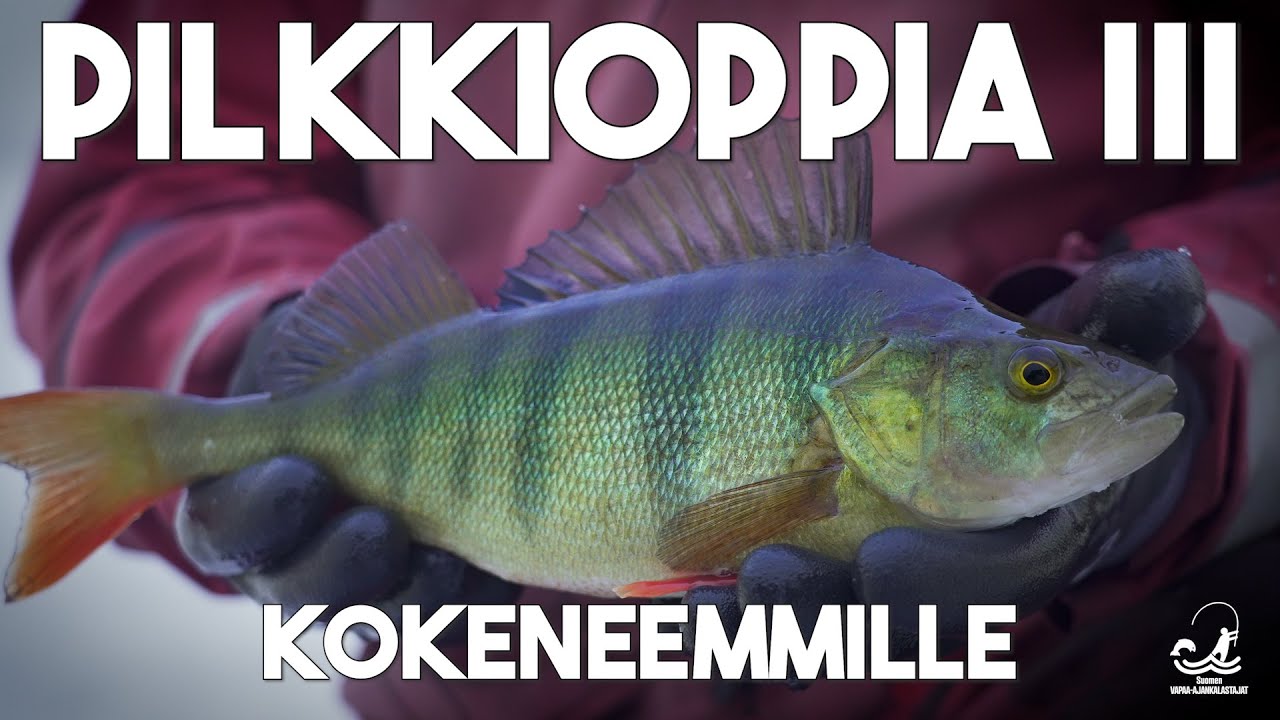 Pilkkioppia III - Kokeneemmille