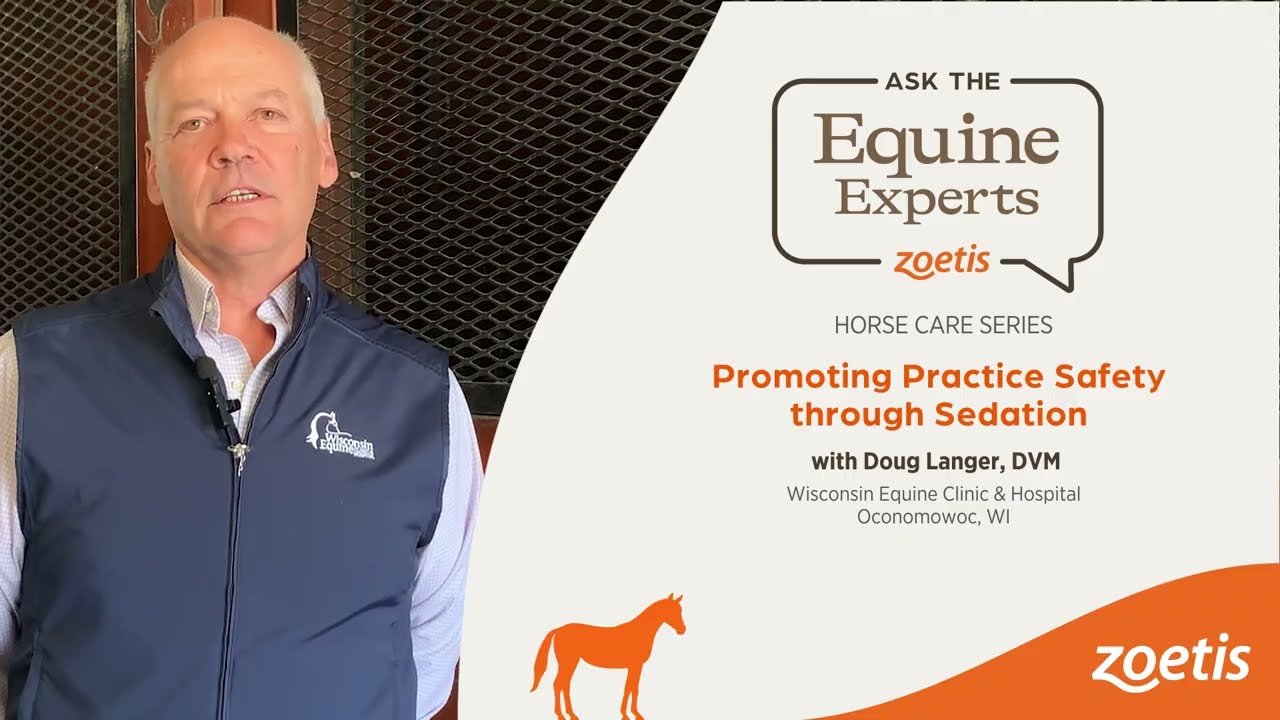 Promoting Practice Safety Through Sedation | Ask the Equine Experts