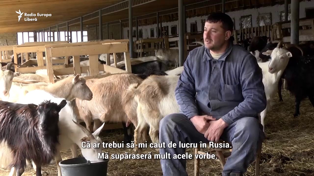 Pur și Simplu: Capre ca în Europa, la Tomai