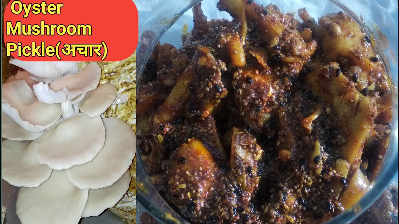 Oyster Mushroom Pickle ll Oyster मशरुम का चटपटा अचार ll Mushroom achar ll