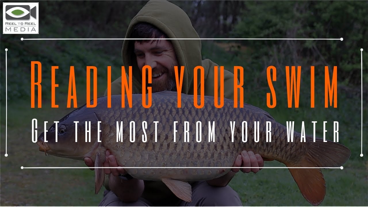 CARP FISHING ~ Reading your swim, tips and watercraft (fish more effectively)