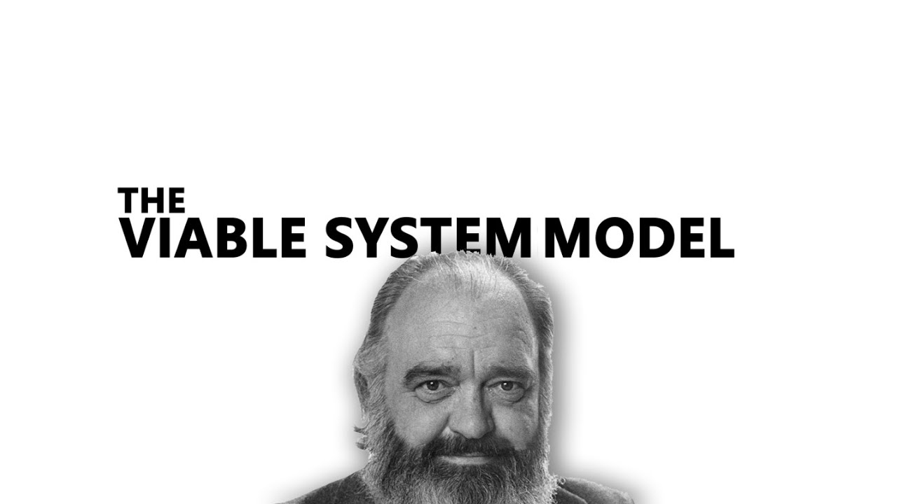 The Viable System Model