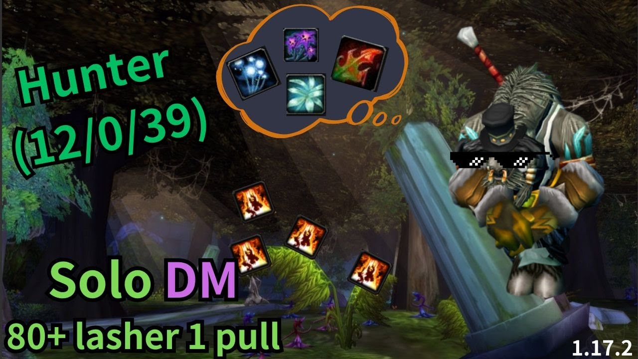 Turtle WoW - lv60 Hunter solo DME all lashers 1pull.
