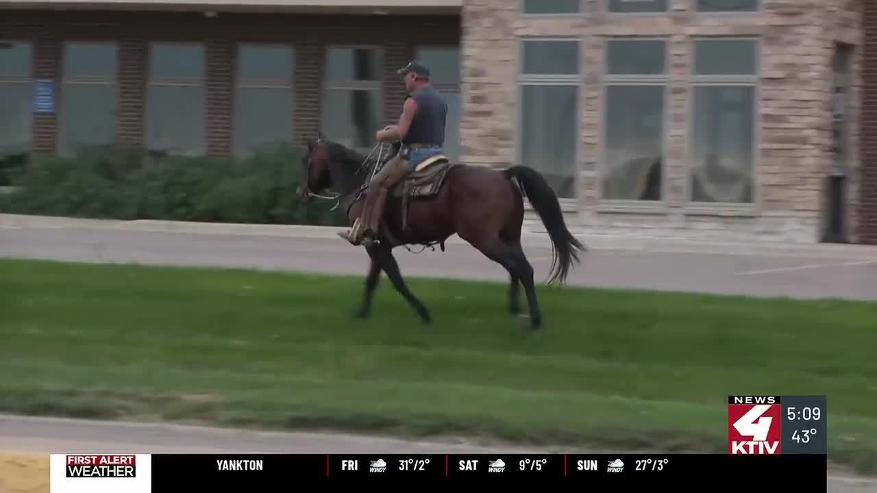 How one man’s ride down Hamilton Blvd helps train his horse, and serves as stress relief