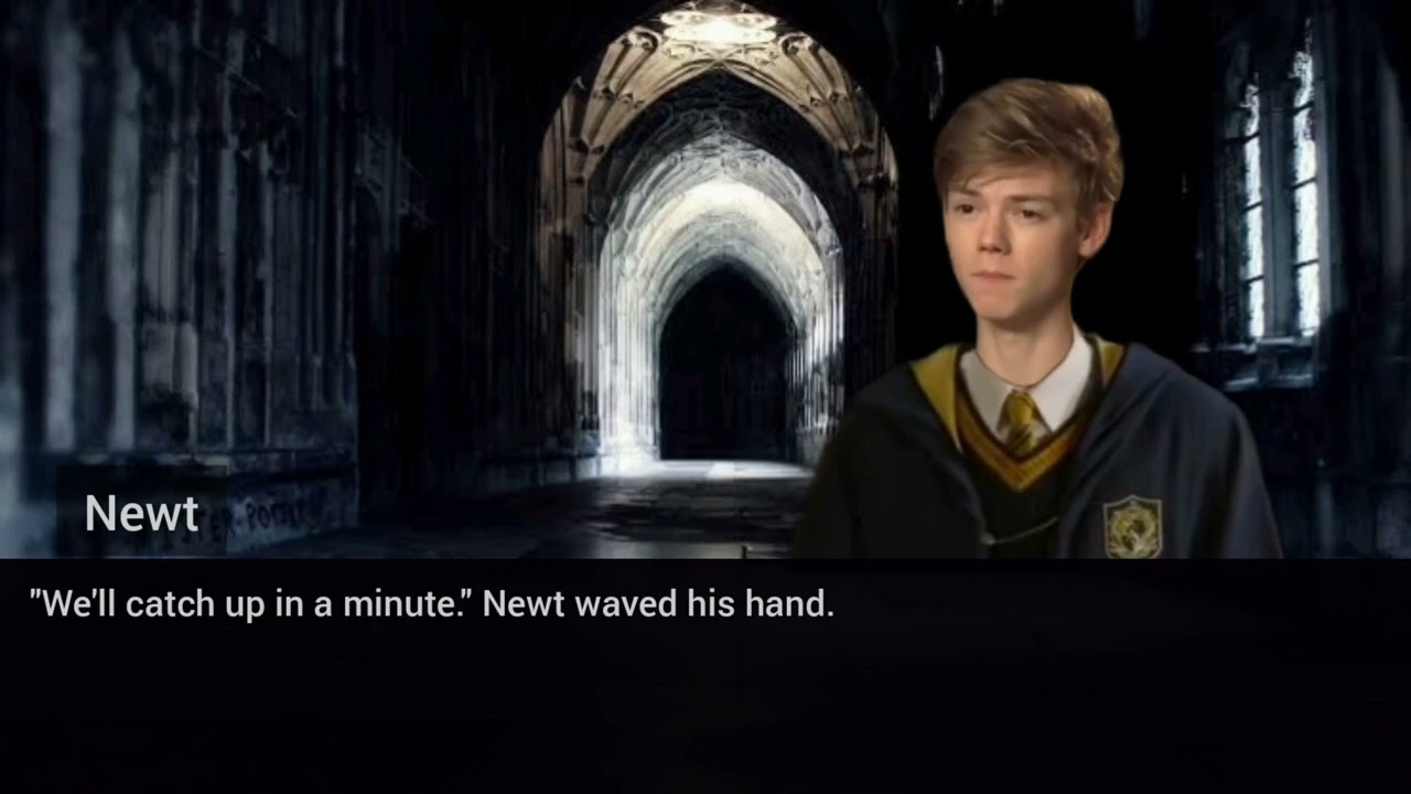 (newt x y/n) what if they were in hogwarts