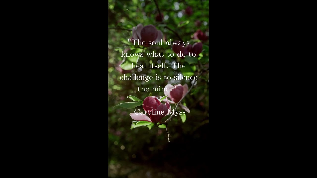 Caroline Myss - Soul Knows 