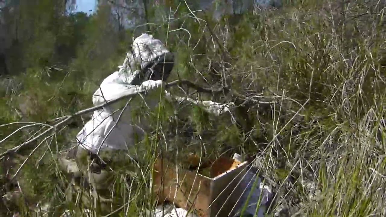 Parthenogenesis : A Filmpoem. Spring Equinox Honeybee Swarm